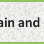 brain_nerves.png