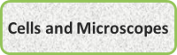Cells and Microscopes