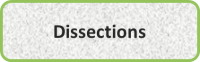 Dissections