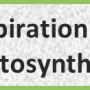 respiration_photosynthesis.png