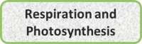 Respiration and Photosynthesis